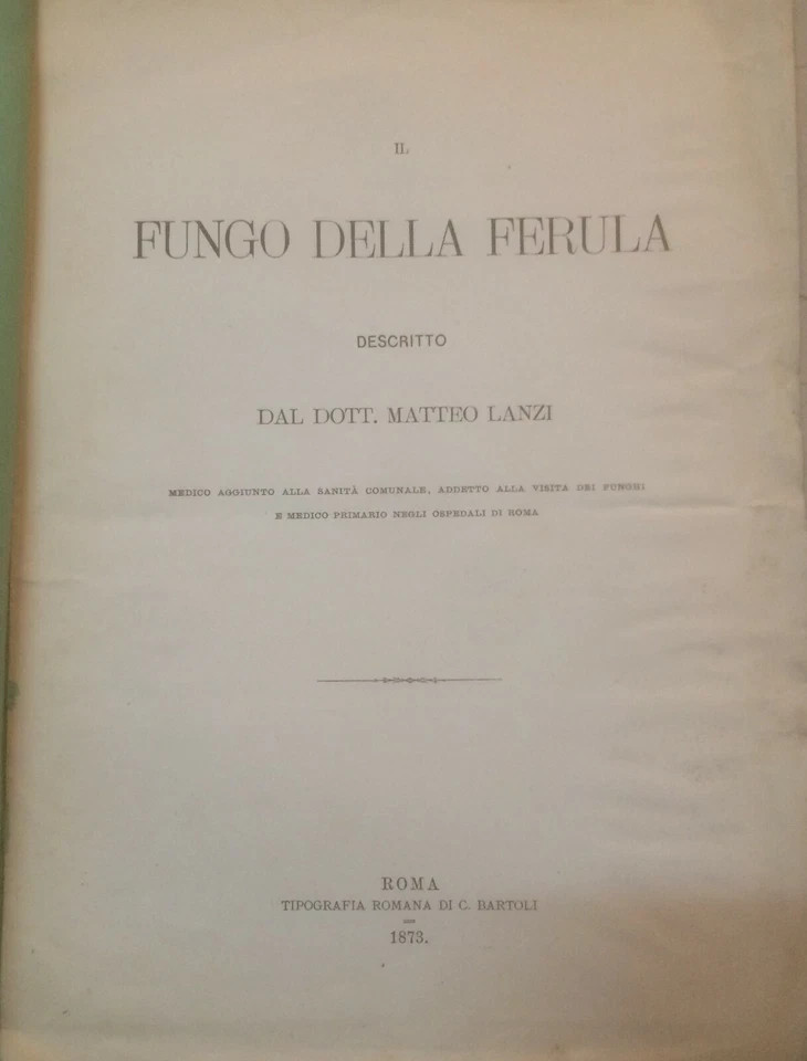 Storia Naturale: Funghi Ferula. Antica Edizione Lanzi, 1873, Con Tavola Illustrativa