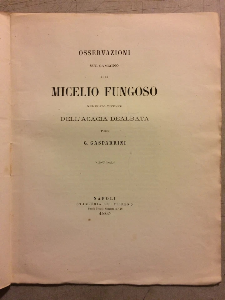 Storia Naturale E Scienze: Osservazioni Sul Micelio Fungoso Nell'Acacia Dealbata, Gasparrini, 1865