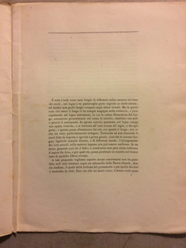 Storia Naturale E Scienze: Osservazioni Sul Micelio Fungoso Nell'Acacia Dealbata, Gasparrini, 1865