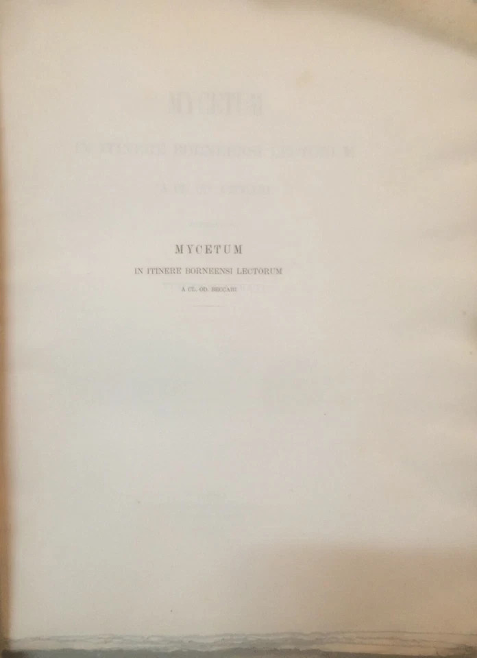Storia Naturale: Miceti (funghi). Beccari   Cesati. Tavole Illustrative, Napoli, 1879