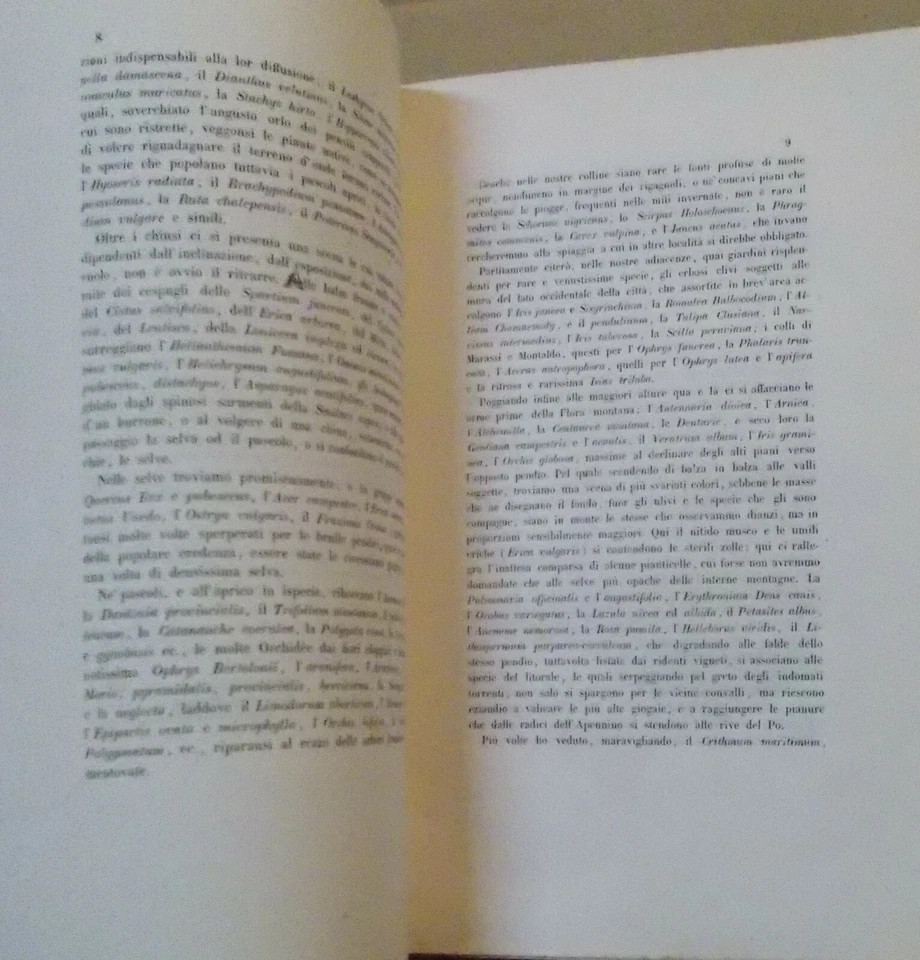 Storia Naturale, Botanica, Liguria: Flora Ligustica, Zoofiti, Alghe. De Notaris, 1846