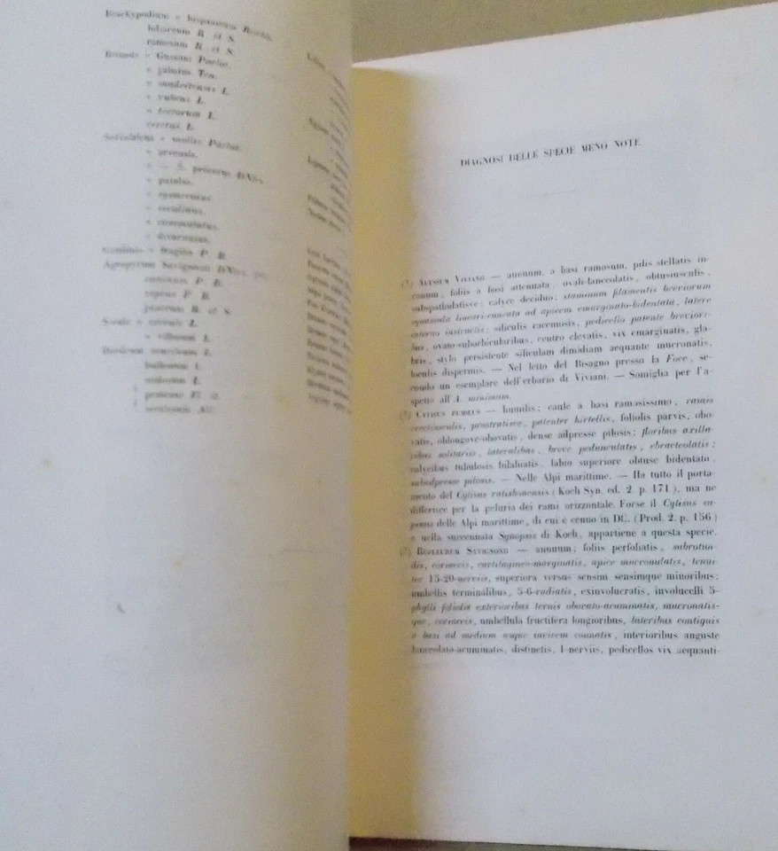 Storia Naturale, Botanica, Liguria: Flora Ligustica, Zoofiti, Alghe. De Notaris, 1846
