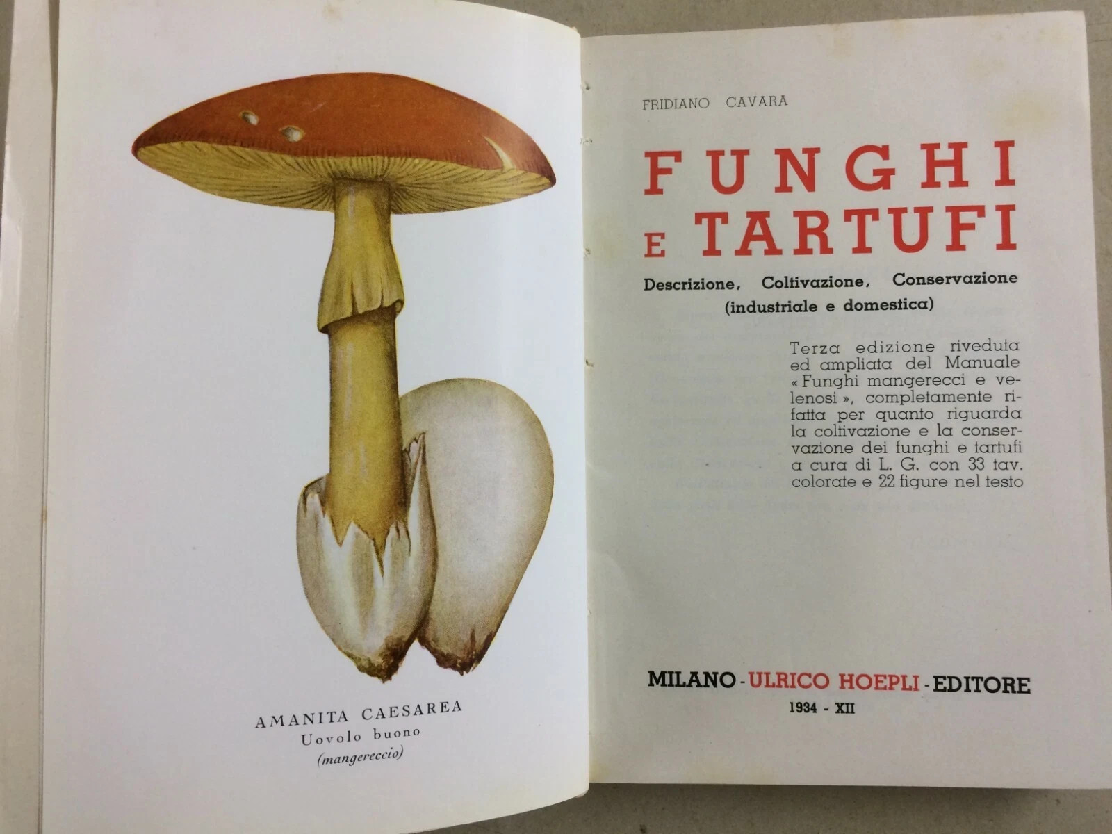 Storia Naturale: Funghi, Tartufi, Illustrato A Colori   Hoepli, Cavara, 1934