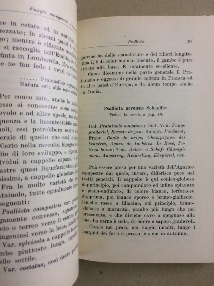 Storia Naturale: Funghi, Tartufi, Illustrato A Colori   Hoepli, Cavara, 1934