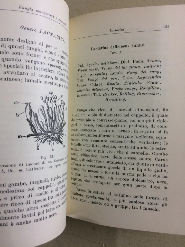 Storia Naturale: Funghi, Tartufi, Illustrato A Colori   Hoepli, Cavara, 1934