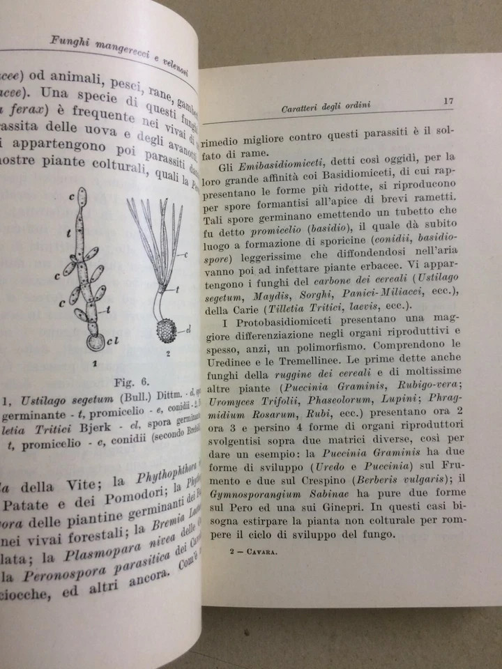 Storia Naturale: Funghi, Tartufi, Illustrato A Colori   Hoepli, Cavara, 1934