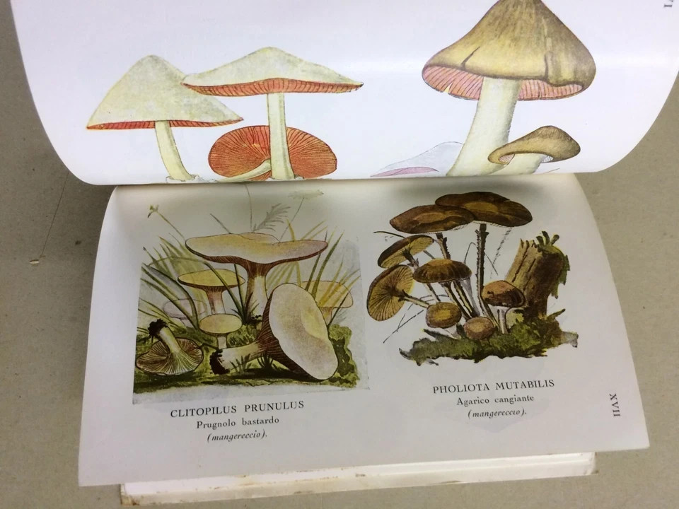 Storia Naturale: Funghi, Tartufi, Illustrato A Colori   Hoepli, Cavara, 1934
