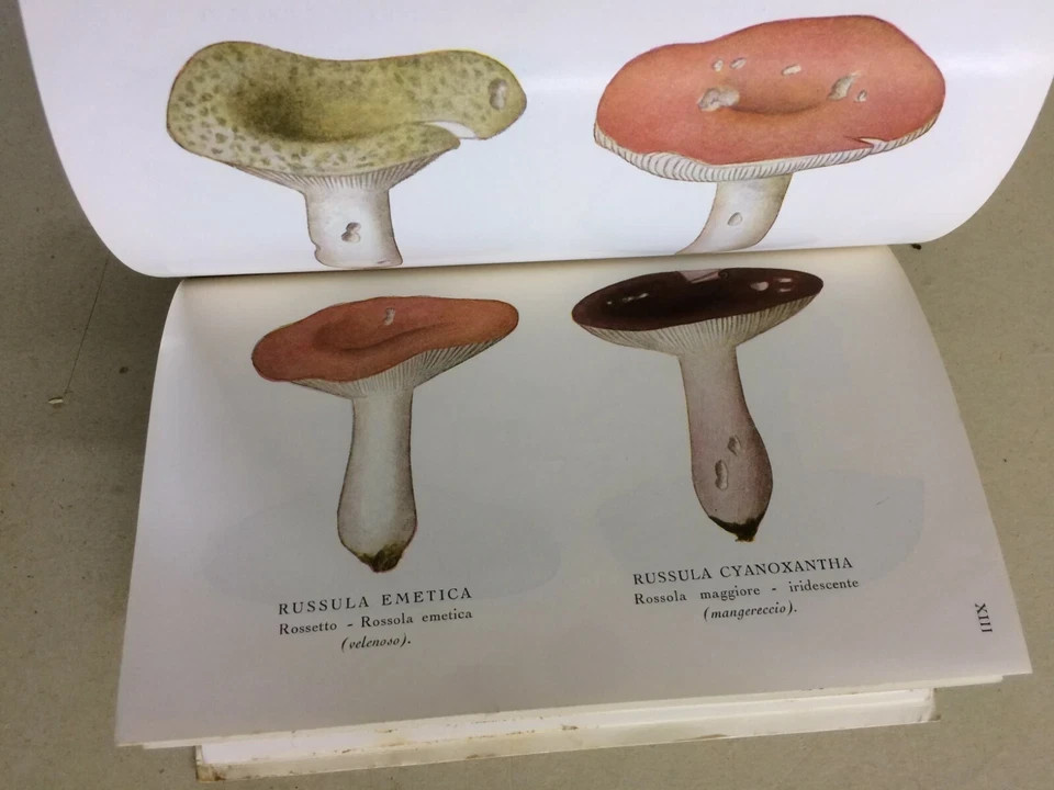 Storia Naturale: Funghi, Tartufi, Illustrato A Colori   Hoepli, Cavara, 1934