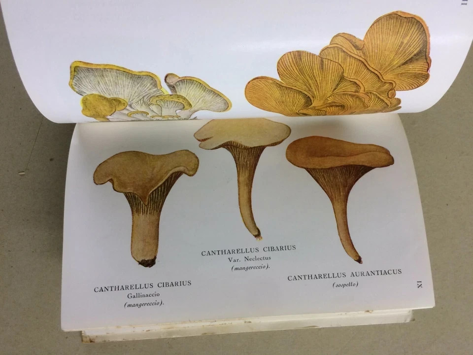 Storia Naturale: Funghi, Tartufi, Illustrato A Colori   Hoepli, Cavara, 1934