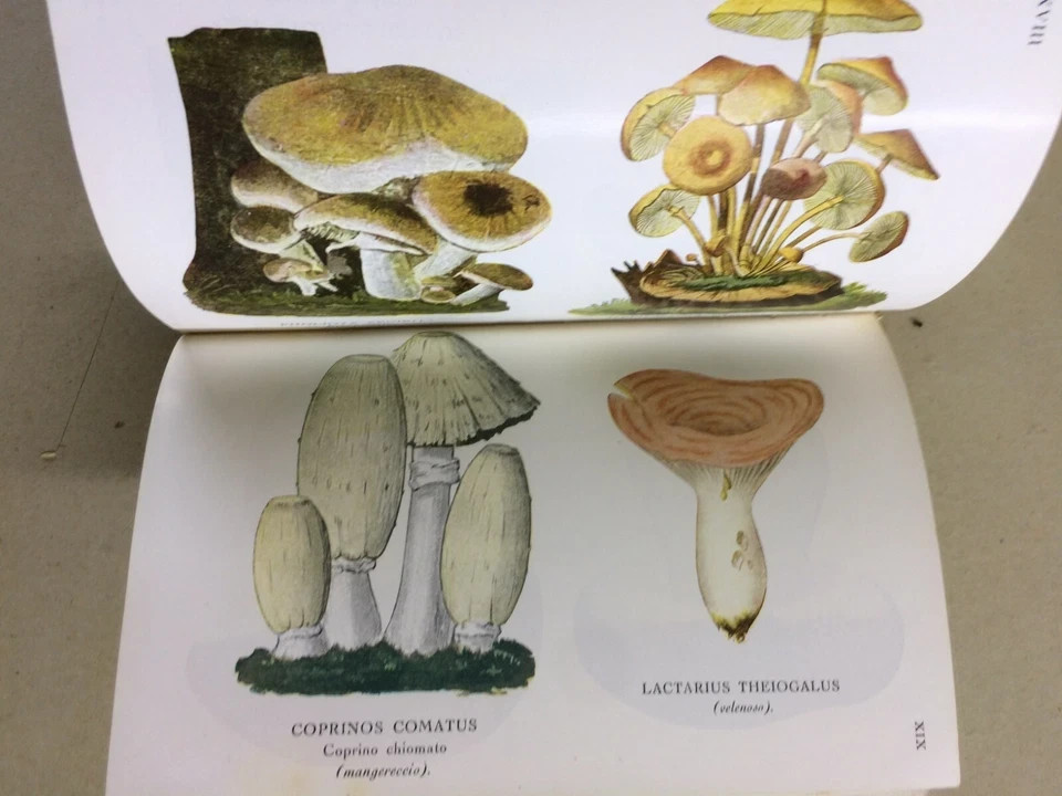 Storia Naturale: Funghi, Tartufi, Illustrato A Colori   Hoepli, Cavara, 1934