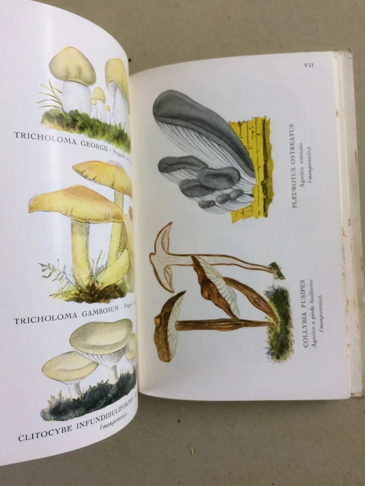 Storia Naturale: Funghi, Tartufi, Illustrato A Colori   Hoepli, Cavara, 1934