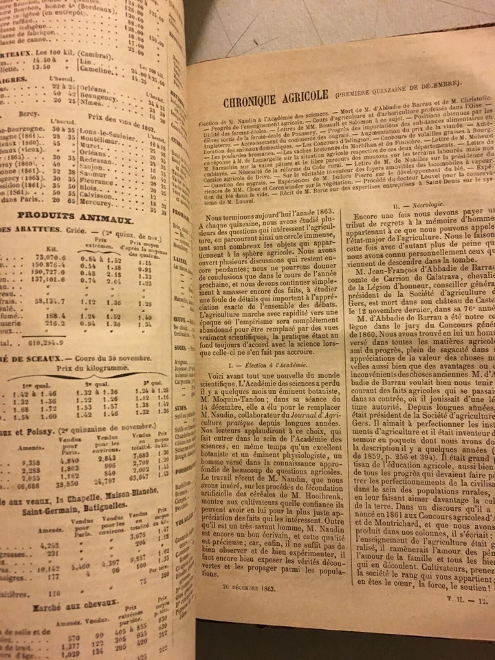 Agraria: Agricoltura Pratica, Fattorie, Allevamenti E Coltivazioni. Rivista d'Epoca, 1863