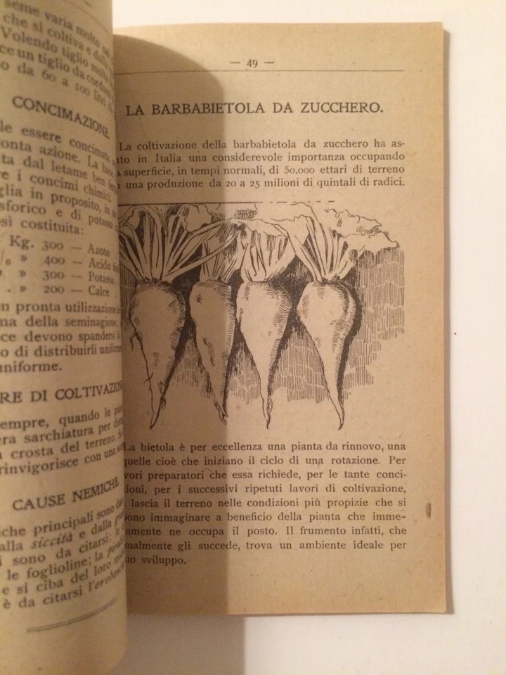 Il Nitrato Di Soda Del Chile In Italia (1920)