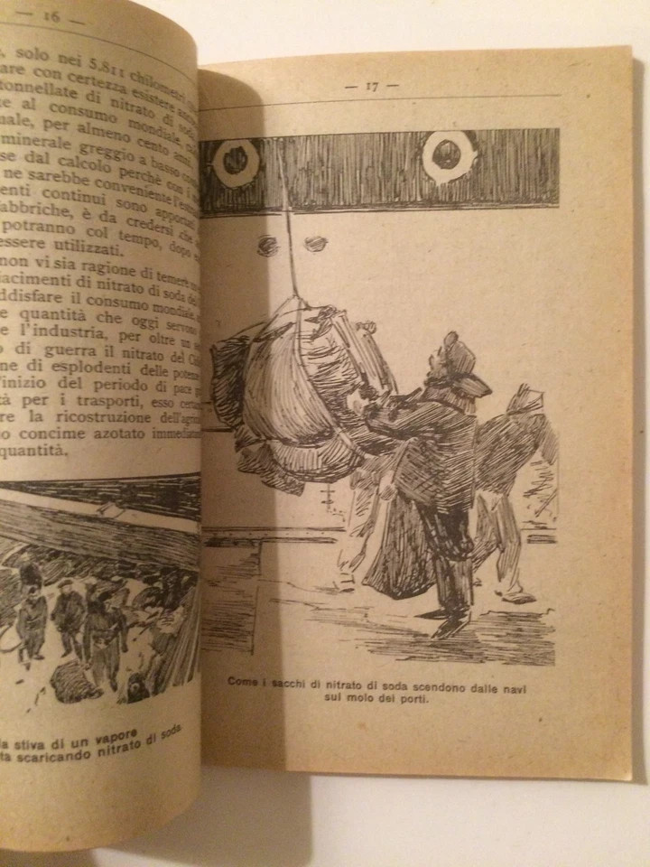 Il Nitrato Di Soda Del Chile In Italia (1920)