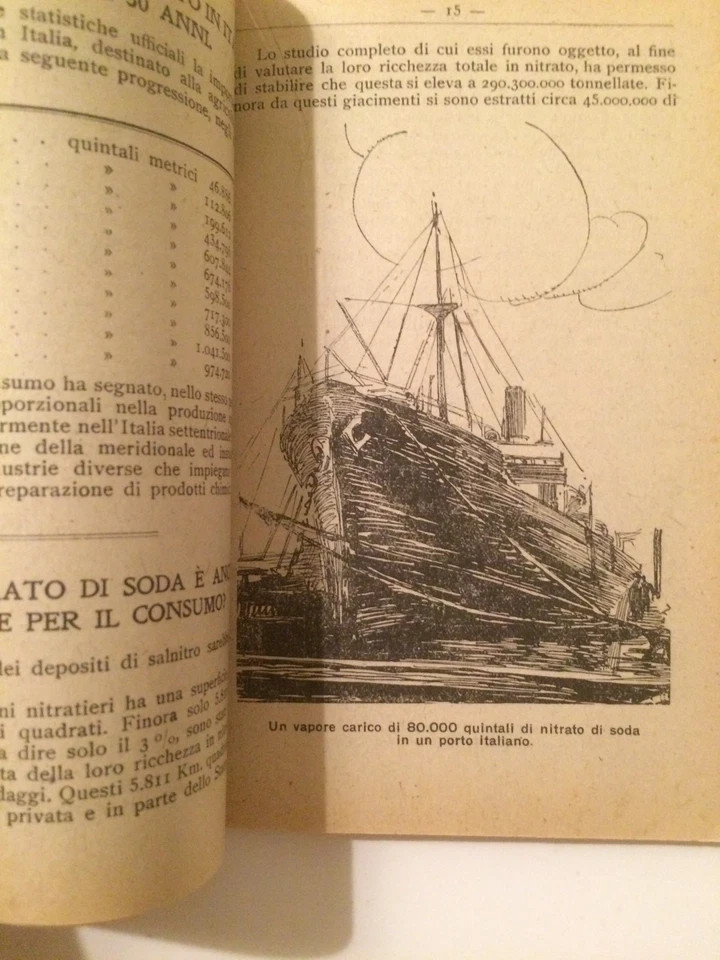 Il Nitrato Di Soda Del Chile In Italia (1920)