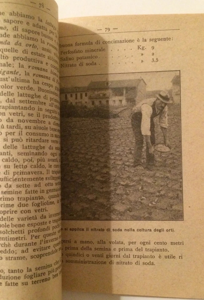 Il Nitrato Di Soda Del Chile In Italia (1920)