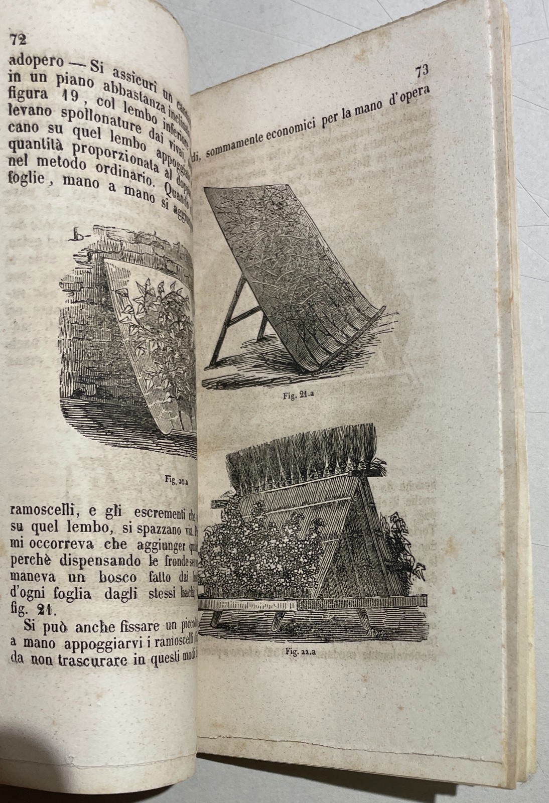 Bachi Da Seta: Allevamento Secondo Il Metodo Berti Pichat. Antica Edizione, 1854
