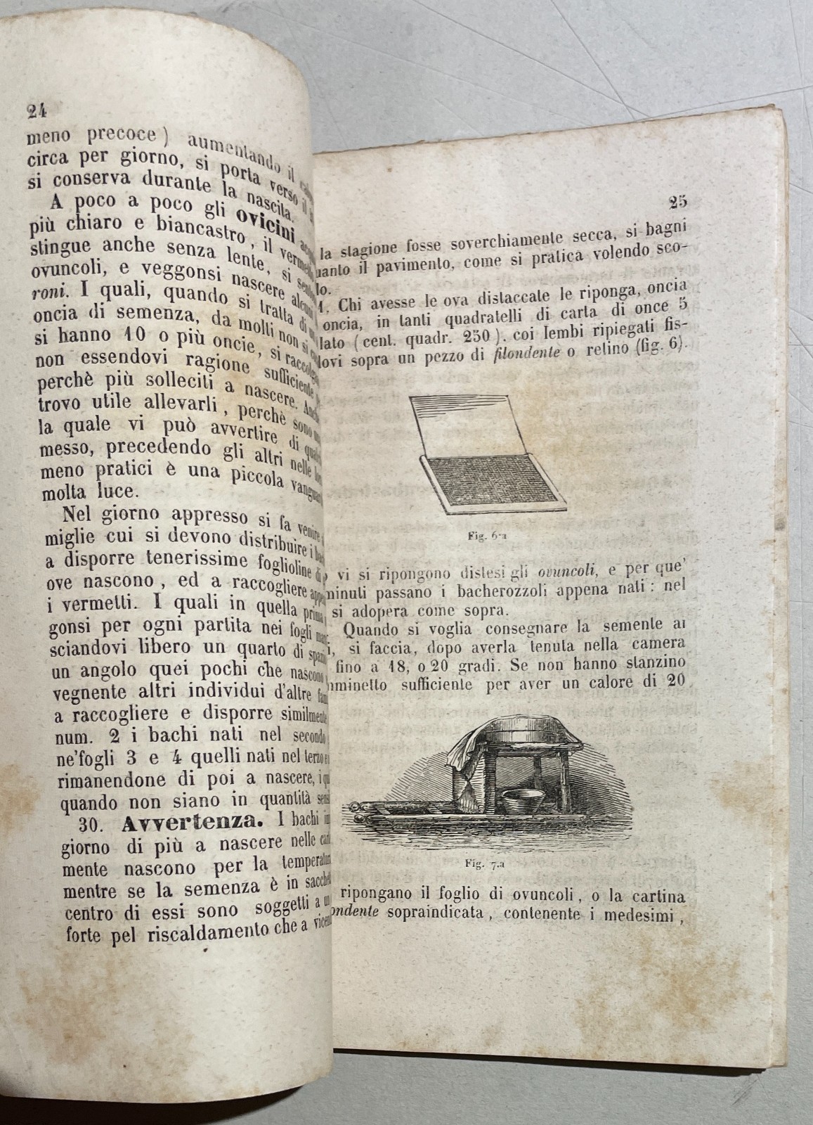 Bachi Da Seta: Allevamento Secondo Il Metodo Berti Pichat. Antica Edizione, 1854