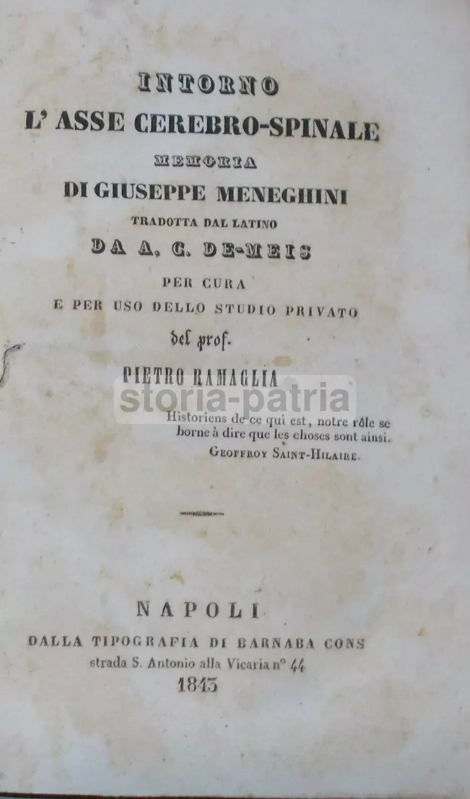 Medicina, Neurologia, Anatomia: Meneghini, De Meis, Ramaglia, Lucarelli
