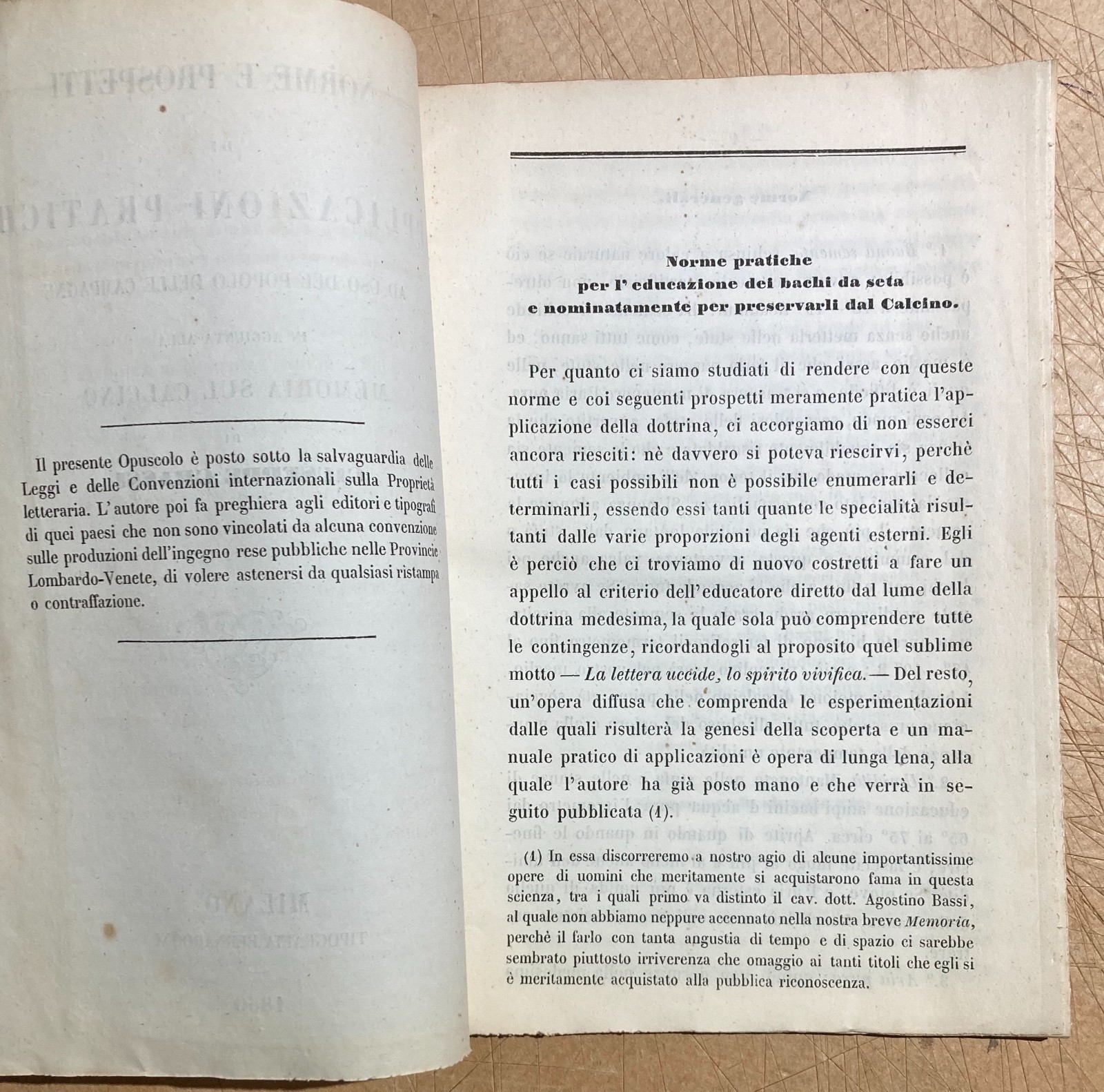 Bachi Da Seta: Allevamento E Applicazioni Pratiche. Memoria Sul Calcino Di Giuseppe Grassi, 1850