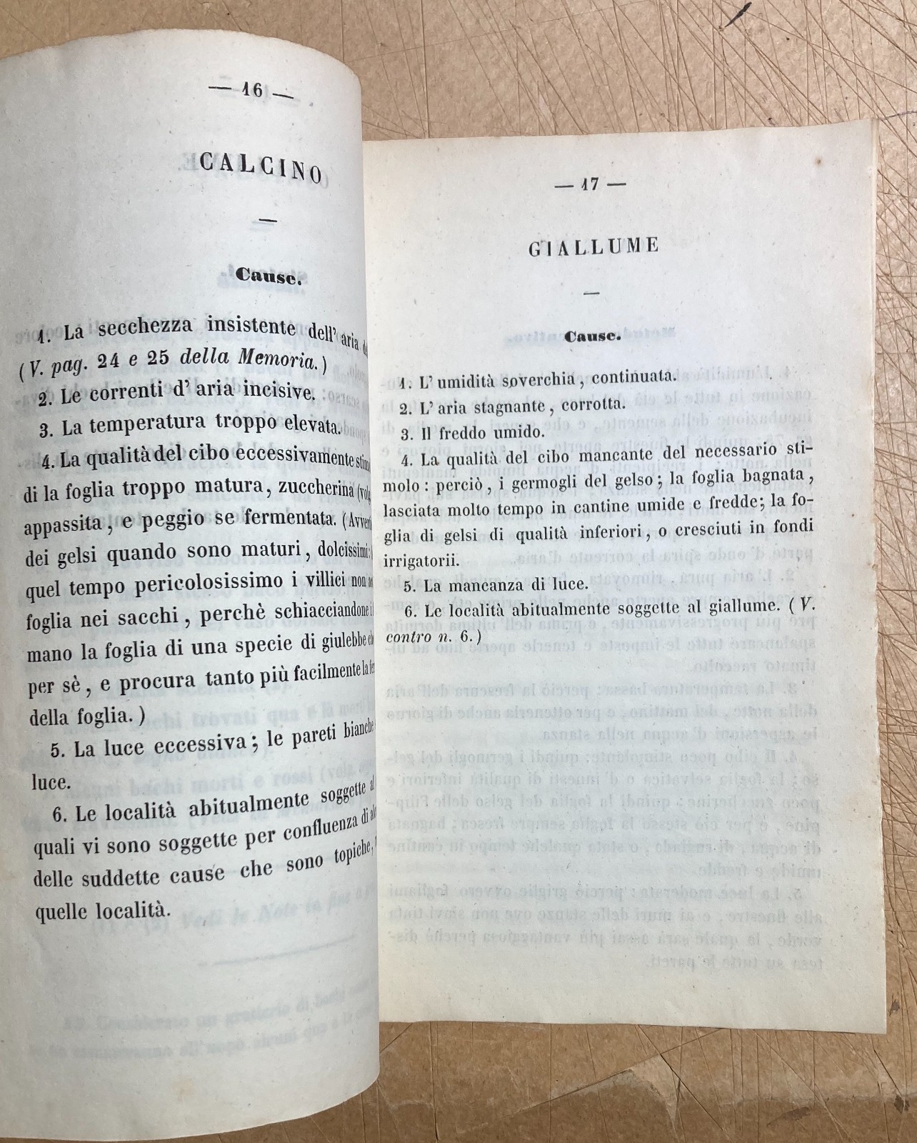 Bachi Da Seta: Allevamento E Applicazioni Pratiche. Memoria Sul Calcino Di Giuseppe Grassi, 1850