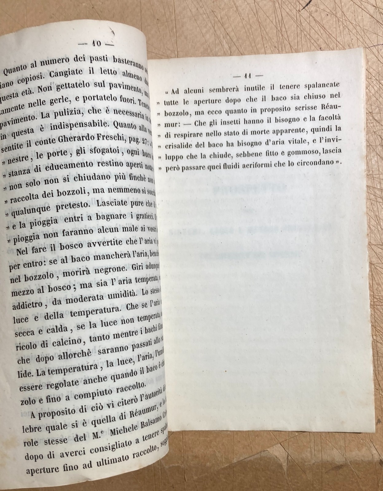 Bachi Da Seta: Allevamento E Applicazioni Pratiche. Memoria Sul Calcino Di Giuseppe Grassi, 1850