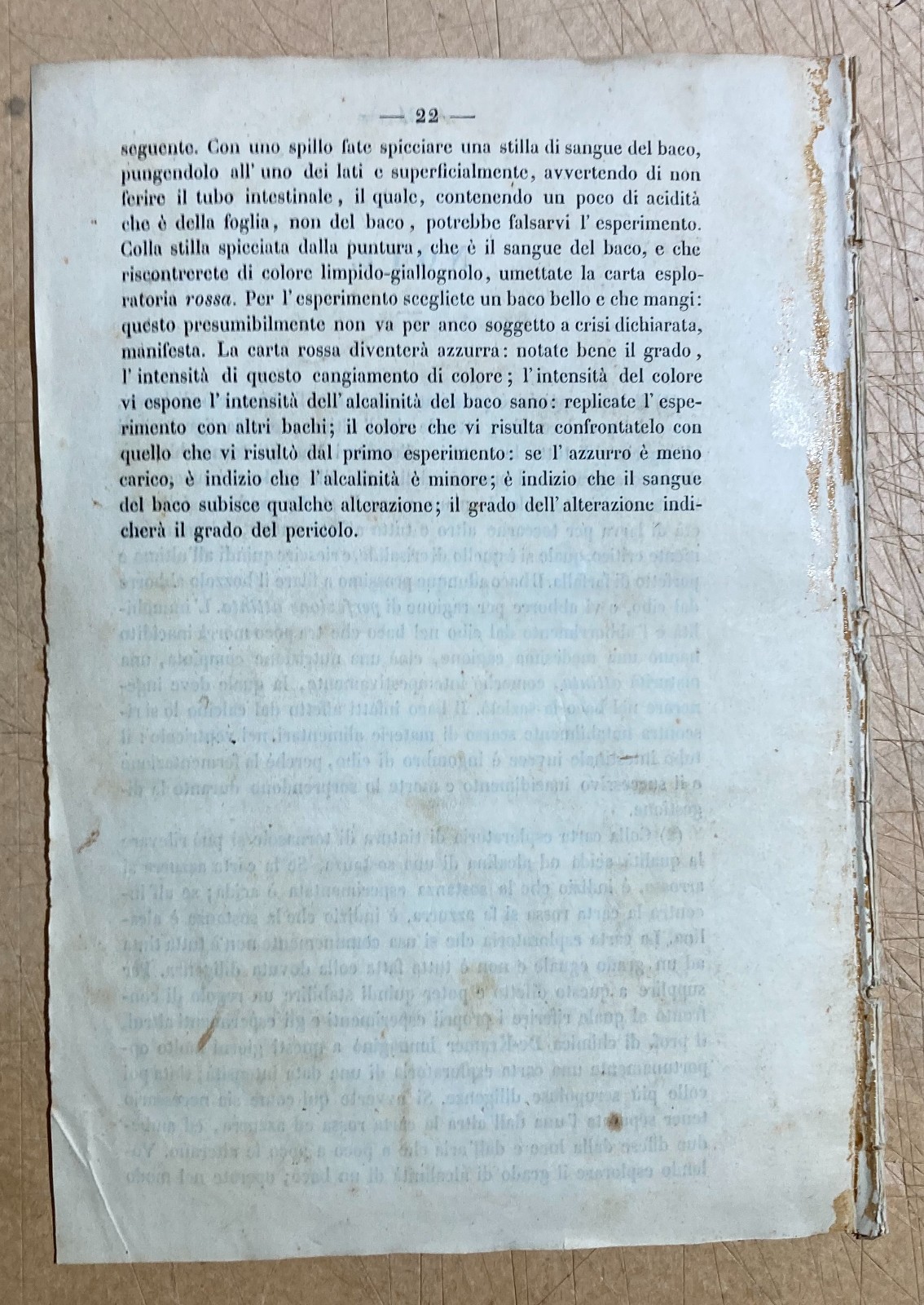 Bachi Da Seta: Allevamento E Applicazioni Pratiche. Memoria Sul Calcino Di Giuseppe Grassi, 1850