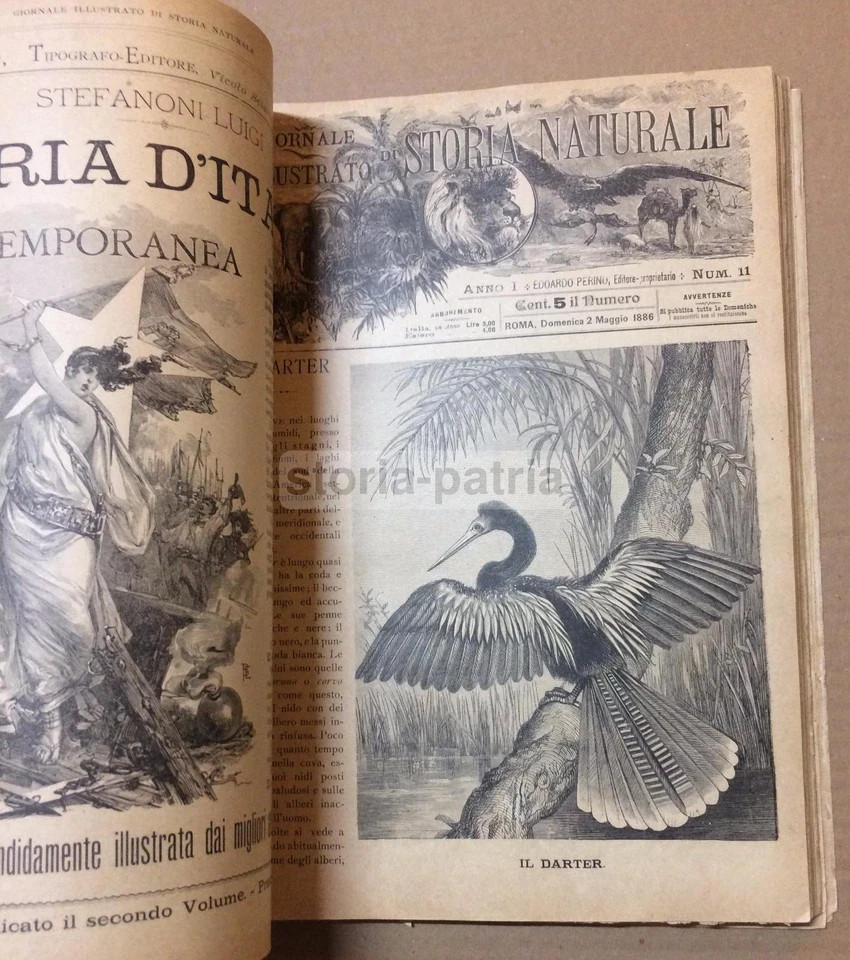 Giornale Illustrato Di Storia Naturale: Botanica, Zoologia, Geologia