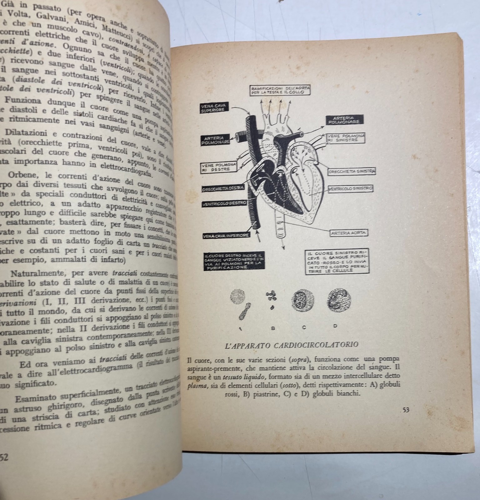 Star Sempre Meglio: Medicina E Prevenzione   Dr. Albis