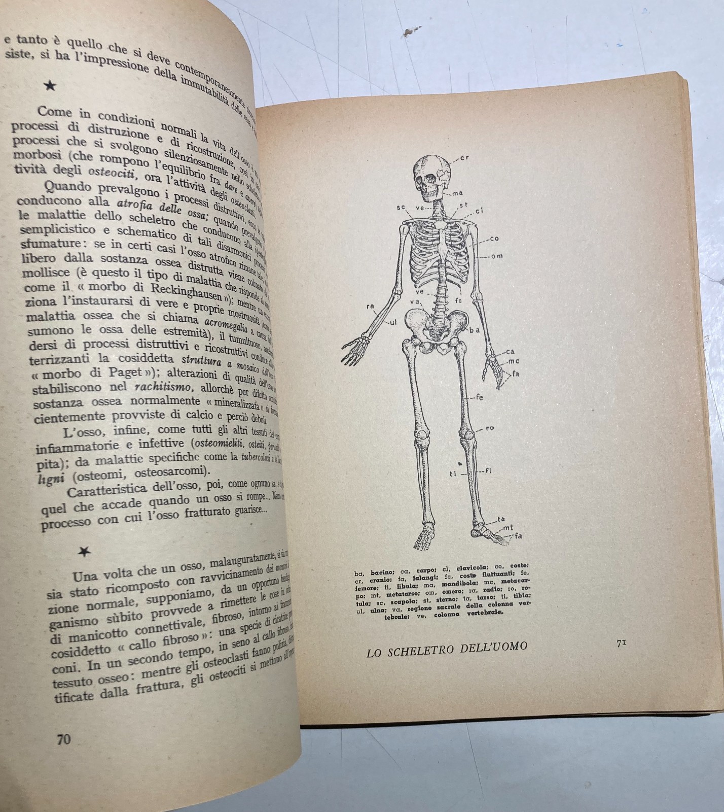 Star Sempre Meglio: Medicina E Prevenzione   Dr. Albis