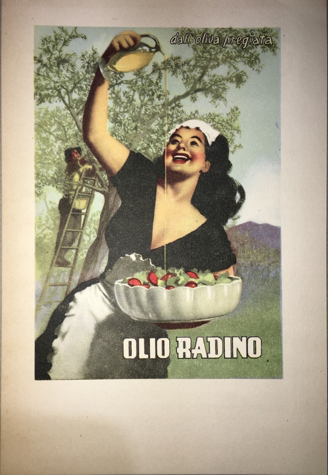 Puglia   Bari   Illustratore Boccasile   Ulivi   Oleifici   Olio Radino   Pubblicitaria