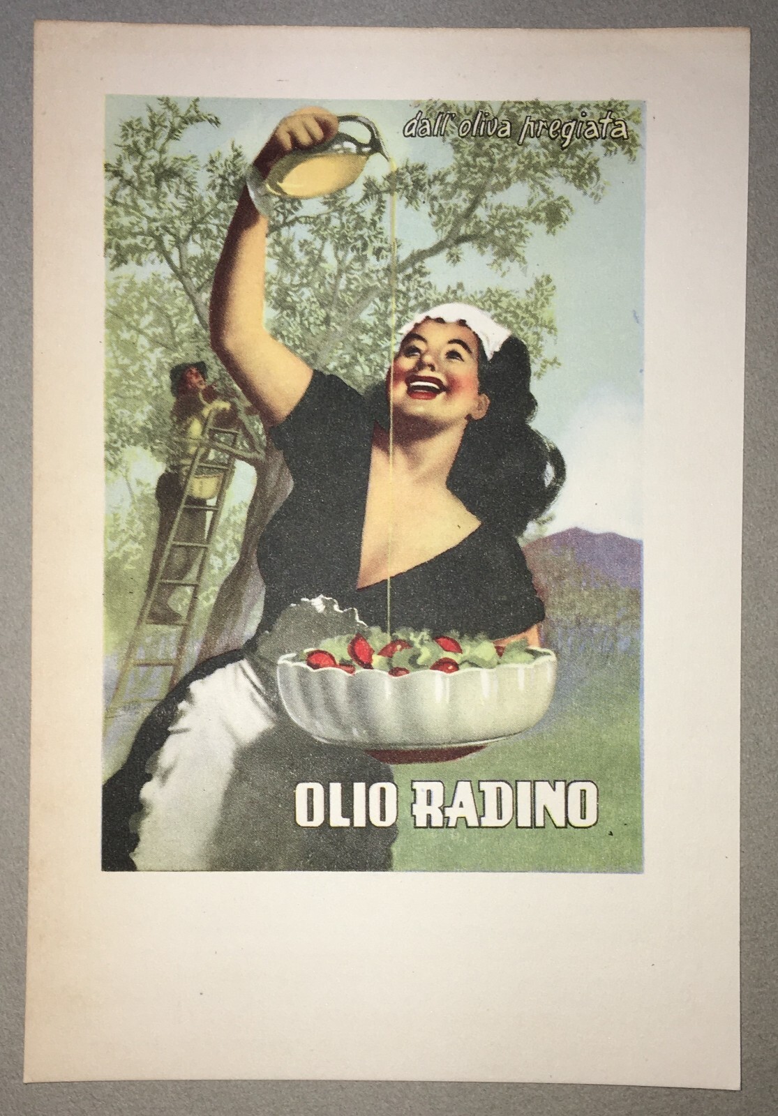 Puglia   Bari   Illustratore Boccasile   Ulivi   Oleifici   Olio Radino   Pubblicitaria