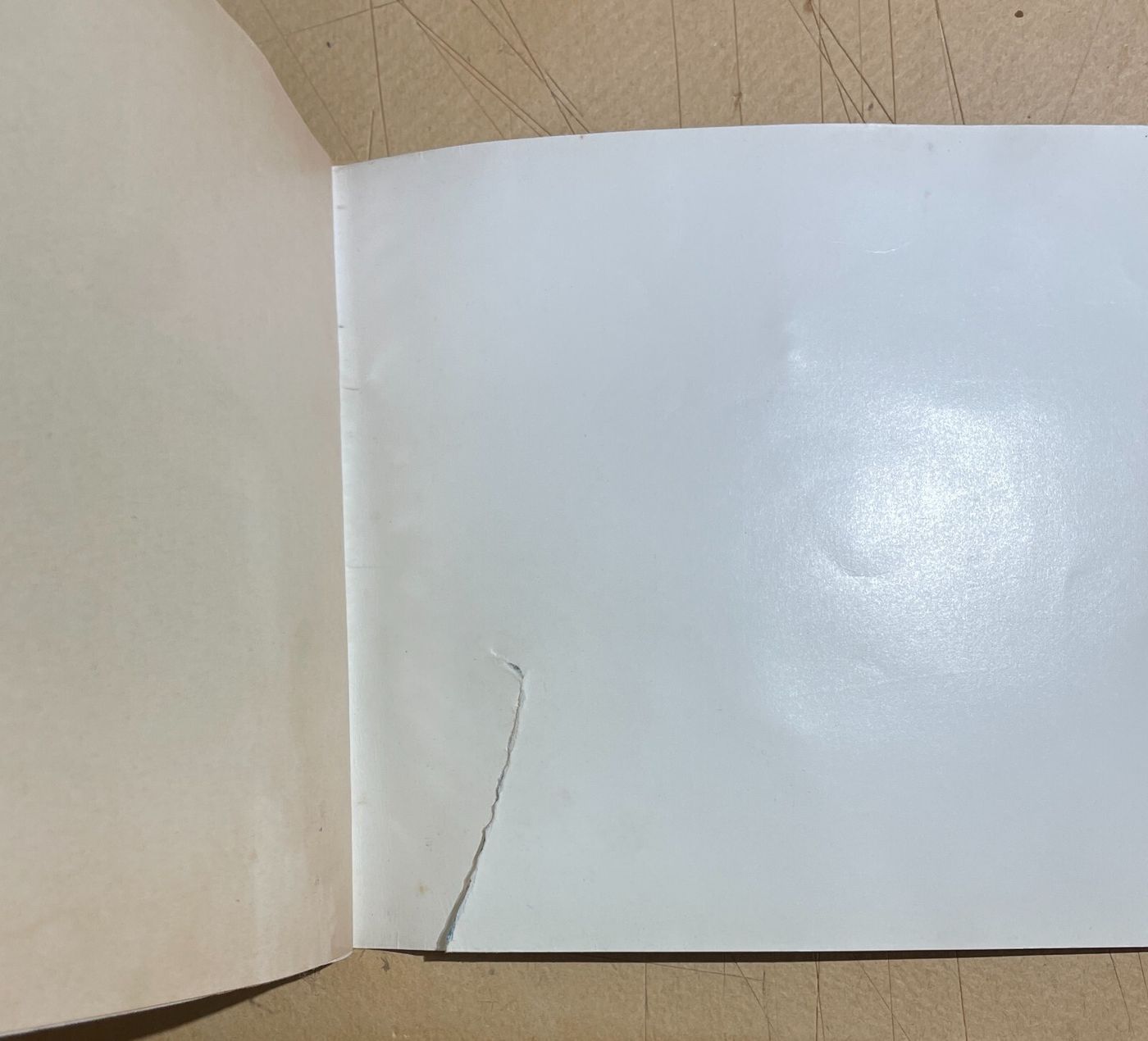 Libretto Uso E Manutenzione Volkswagen 1600, 1965