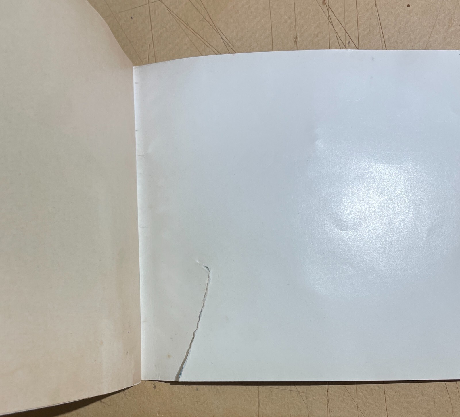 Libretto Uso E Manutenzione Volkswagen 1600, 1965