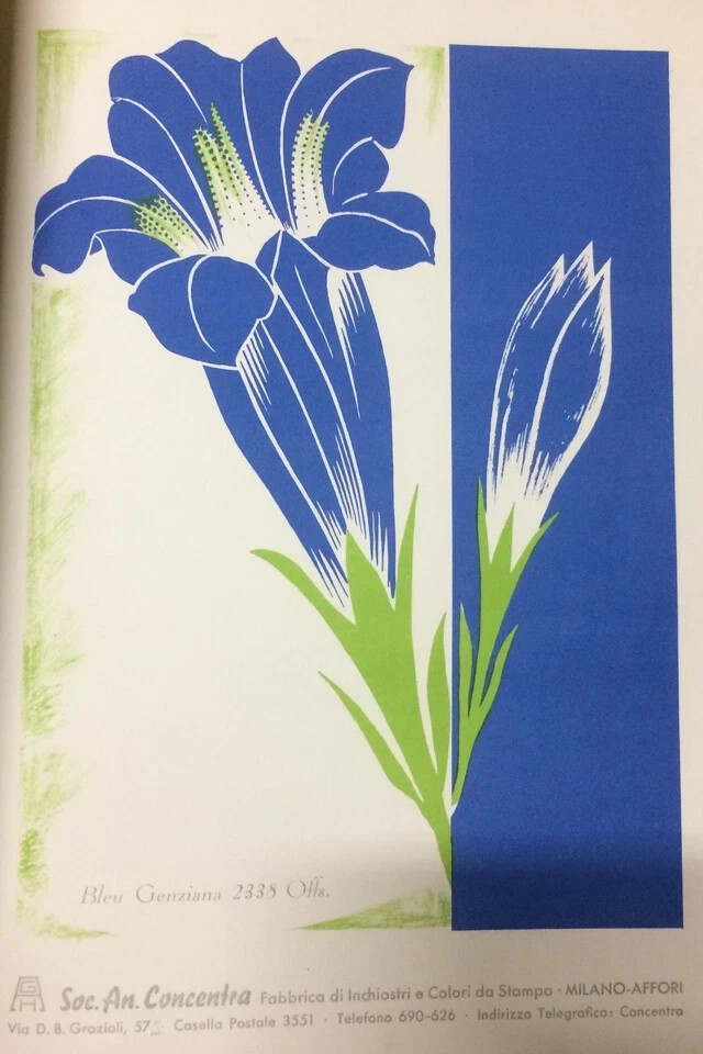 Grafica Pubblicitaria Colori Inchiostri Concentra Milano Affori, 1940 Circa