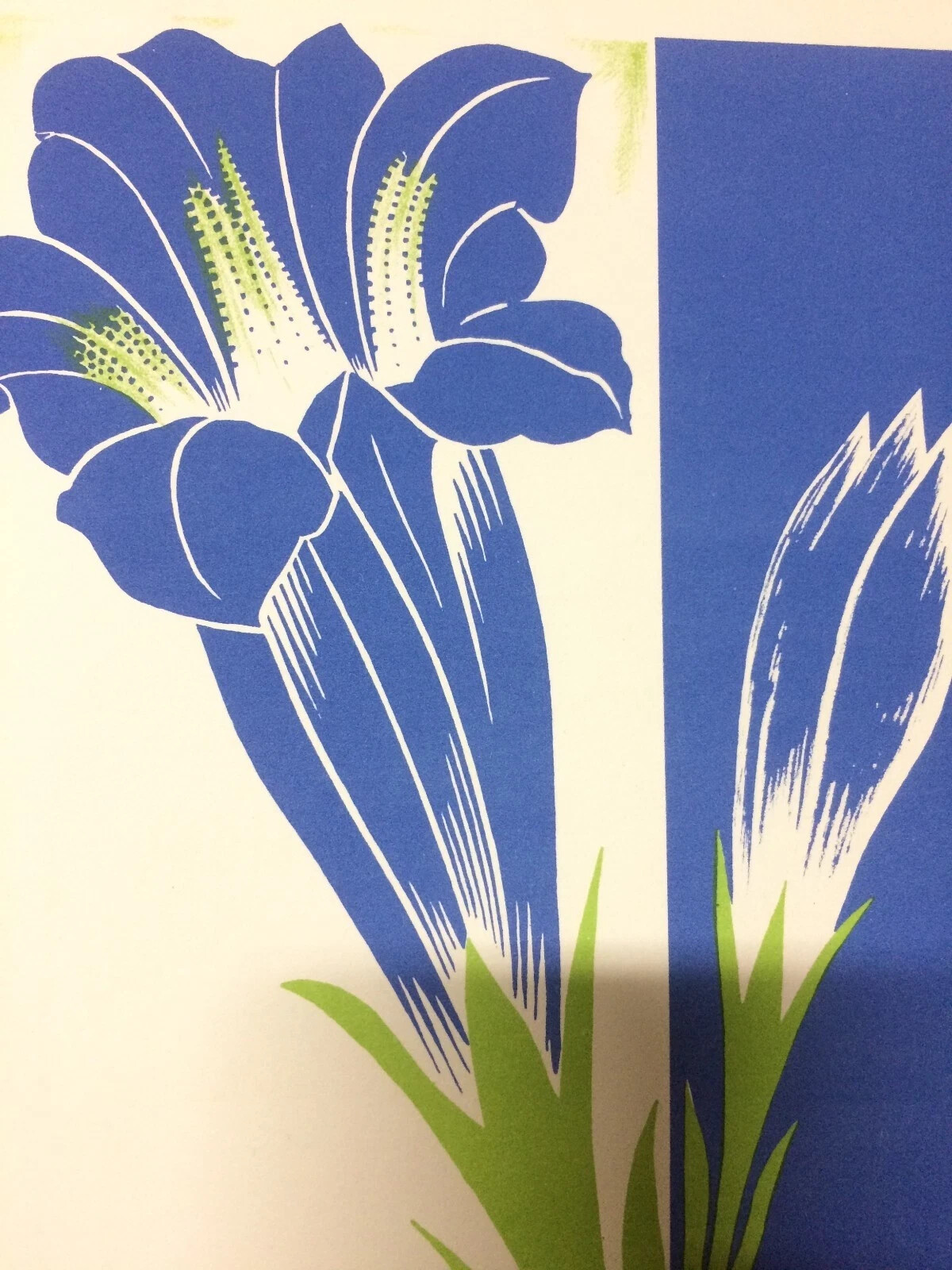 Grafica Pubblicitaria Colori Inchiostri Concentra Milano Affori, 1940 Circa
