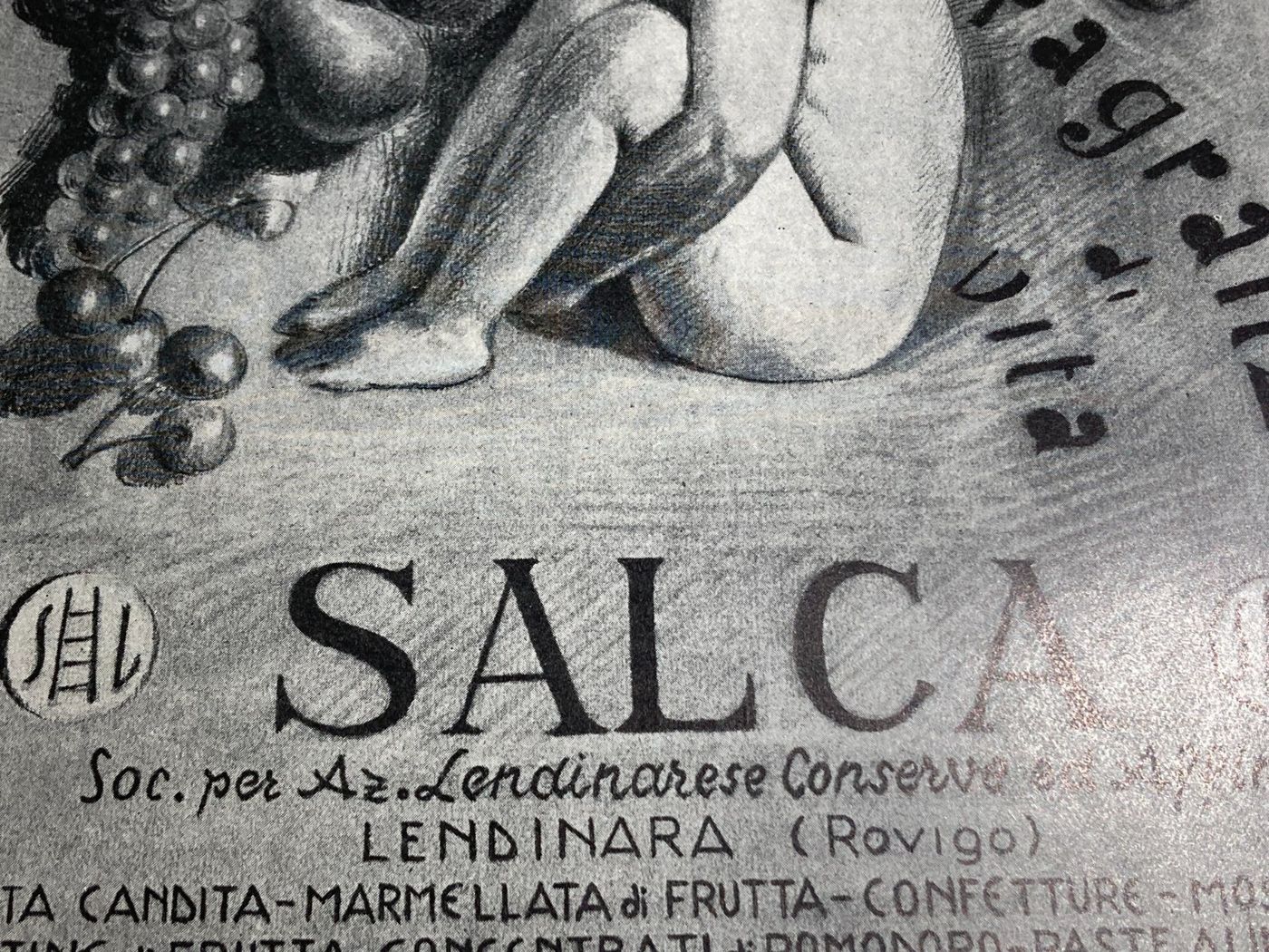 Confetture, Marmellate, Frutta Candita, Conserve, Lendinara, Rovigo, Salca, Stampa