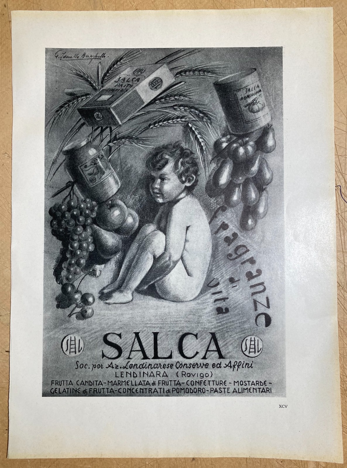 Confetture, Marmellate, Frutta Candita, Conserve, Lendinara, Rovigo, Salca, Stampa