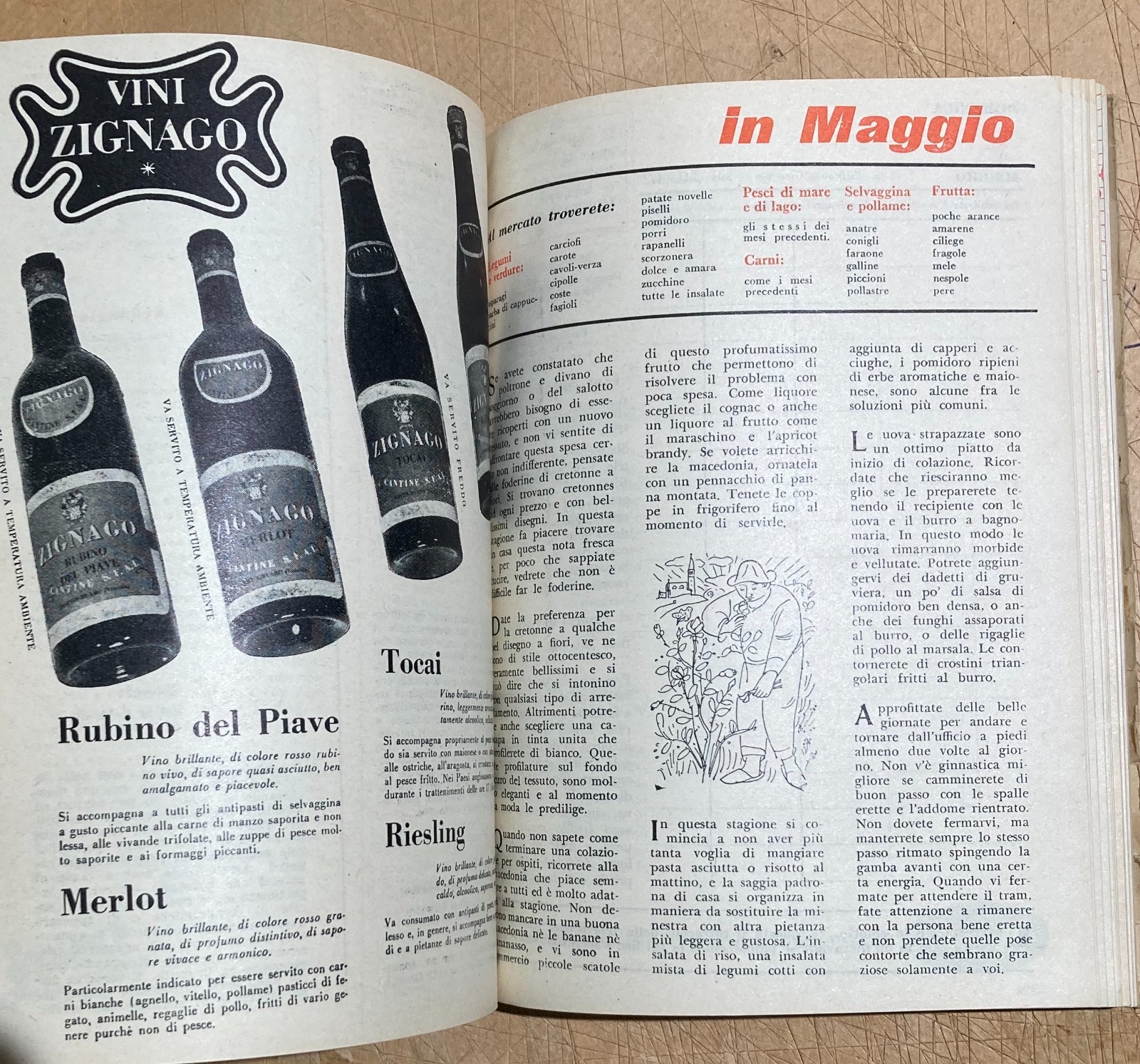 Libro Di Casa 1955: Agenda Di Casa, Cucina E Pubblicità Illustrata Da Gruau