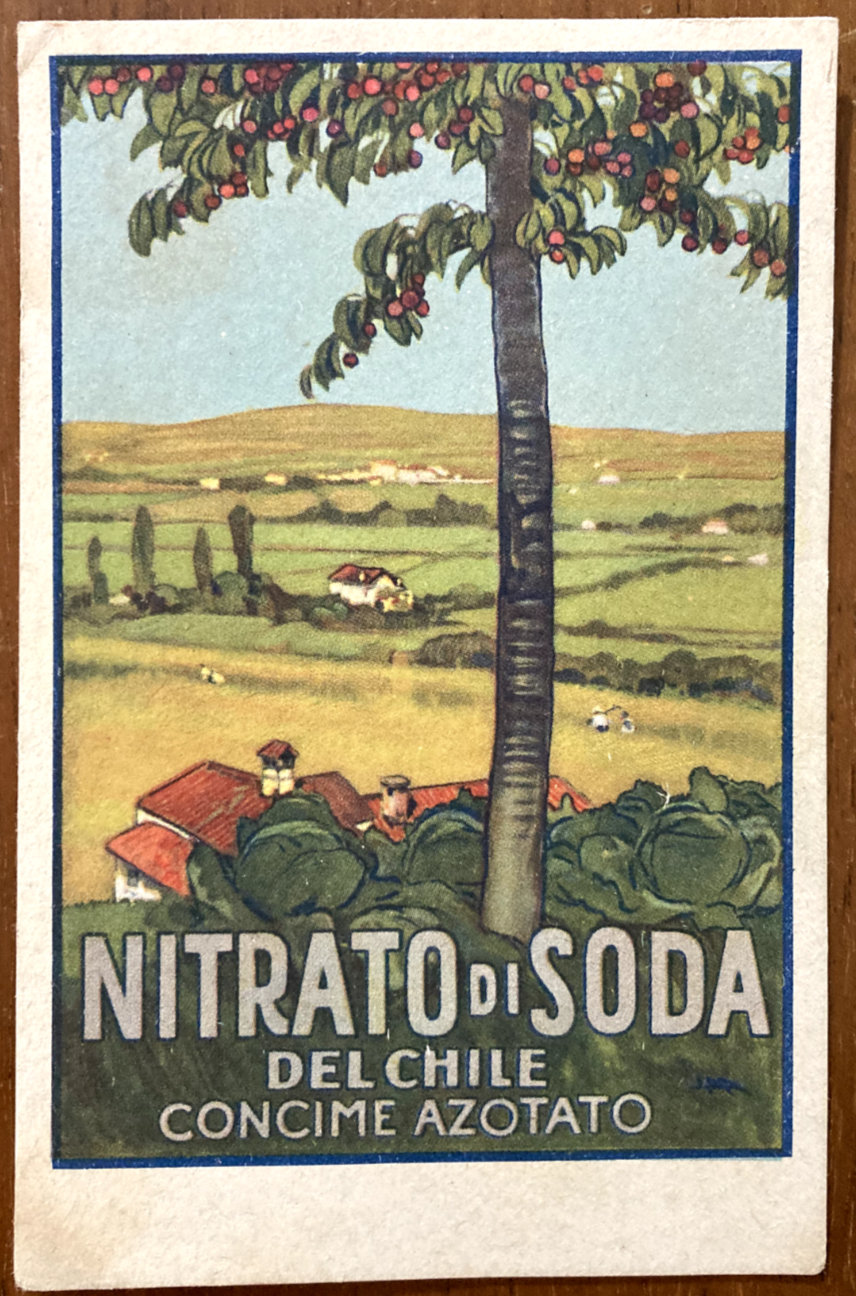 Chile   Nitrato Di Soda   Cartolina Pubblicitaria   Agricoltura   Concimi