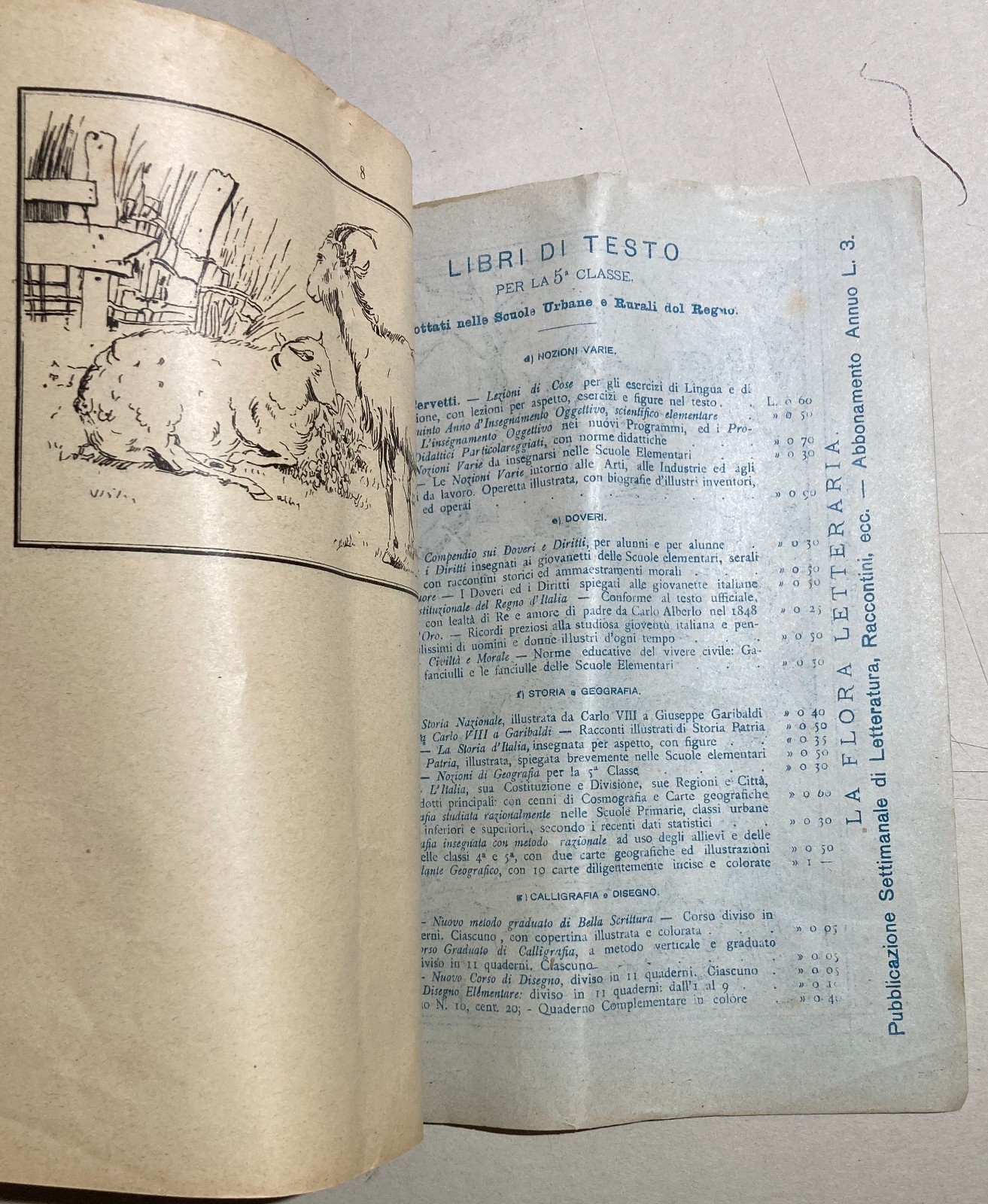Scuola, Istruzione, Arte Del Disegno. A. Capuzzo, Antico Quaderno, Savoia, Casamicciola