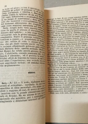 Basilicata, Potenza: Medicina, Oculistica E Statistica. Resoconto Anno 1867 68, Gavioli