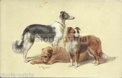 Arte Cinofilia, Tre Cani (Reichert, Tuck & Sons)