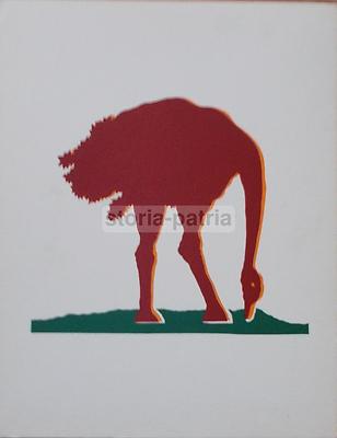 Arte Moderna, Grafica Da Collezione, Gino Marotta, Struzzo, Stampa A Colori d'Epoca