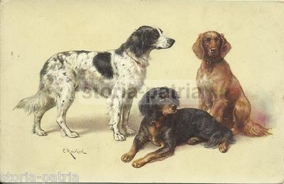 Arte Cinofilia, Cartolina Tre Cani, Tuck, Reichert