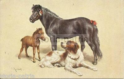 Arte Cinofilia: Veduta d'Insieme Con Un Cavallo, Un Cavallino E Un Cane   Tuck