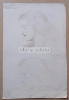 Art: Masters of Painting and Drawing. Raphael, Studies, Vatican, Monrocq, Paris