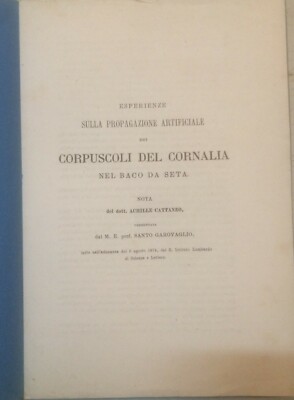 Storia Naturale: Cornalia, Baco Da Seta. Cattaneo, Garovaglio, 1874