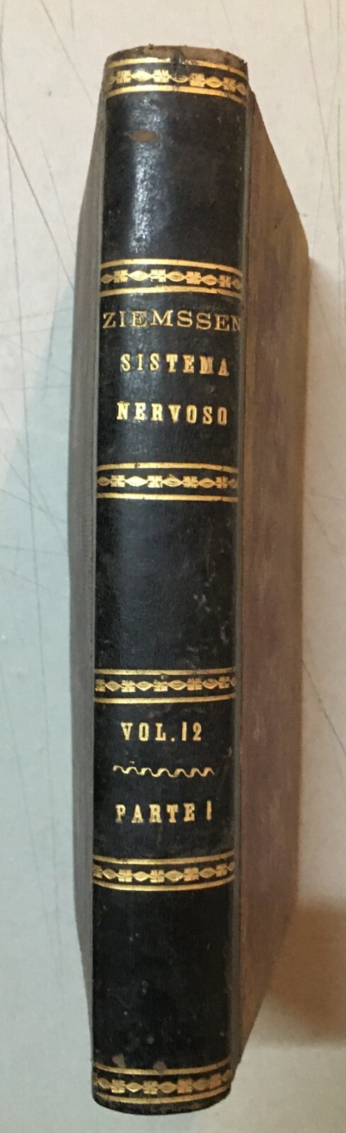 Medicina, Neurologia, Nervi: Malattie Del Sistema Nervoso   Erb, De Renzi, Crapols, 1877