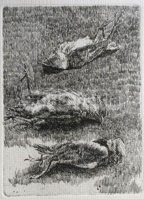 Arte Moderna: Acquaforte Decorativa Raffigurante Uccelli, Attribuita A Leonardo Castellani, Anni '70